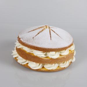 Sneeuwster